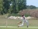 cricket_cesar