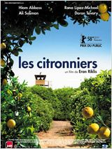 les_citronniers