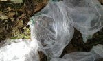 sac compostable