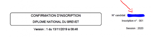 dnb diplome nationale du brevet 2020 resultats college jean monnet de courcon 17 pedagogie academie de poitiers