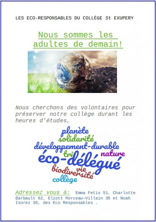 Affiche 1 des Eco-Délégués 