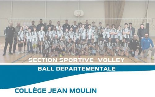 section_volley