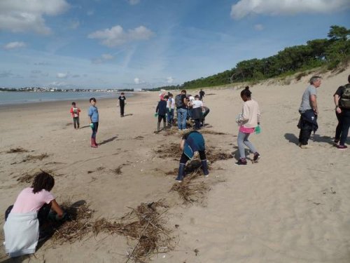 Nettoyage de la plage de Saint-Georges de Didonne