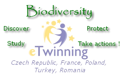 logo_biodiv