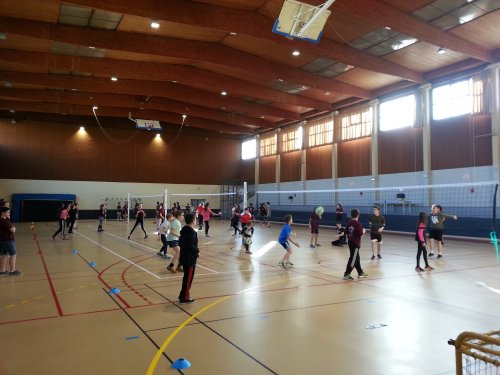 volley_entrainement