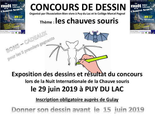 projet-concours_de_dessin-1