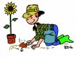 Blog du jardin potager en permacuture
