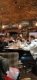 img-20240502-wa0035