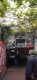 img-20240502-wa0038