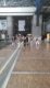 img-20240906-wa0011