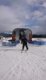 img-20250127-wa0012