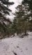 img-20250129-wa0021