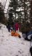 img-20250129-wa0030