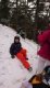 img-20250129-wa0034