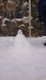 img-20250130-wa0019