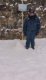 img-20250130-wa0020