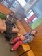 img-20260202-wa0011