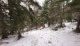 img-20250129-wa0025