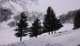 img-20250129-wa0038