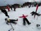 img-20250128-wa0040