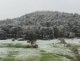 img-20250416-wa0050