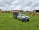 img-20250417-wa0067