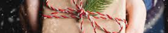 Logo article central