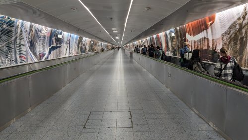 pxl_20240525_105512765