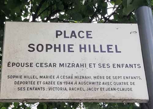place_sophe_hillel