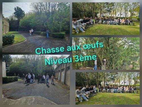 niveau_3e_