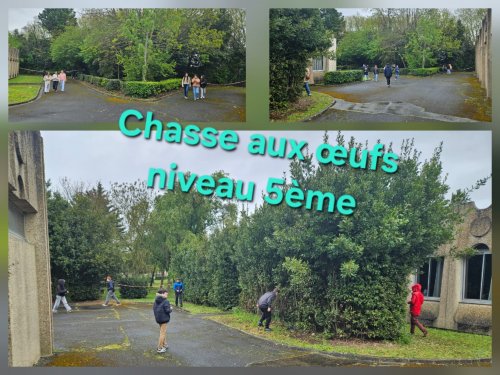 niveau_5e
