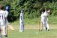 cricket_la_jarne_3