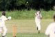 cricket_la_jarne_5