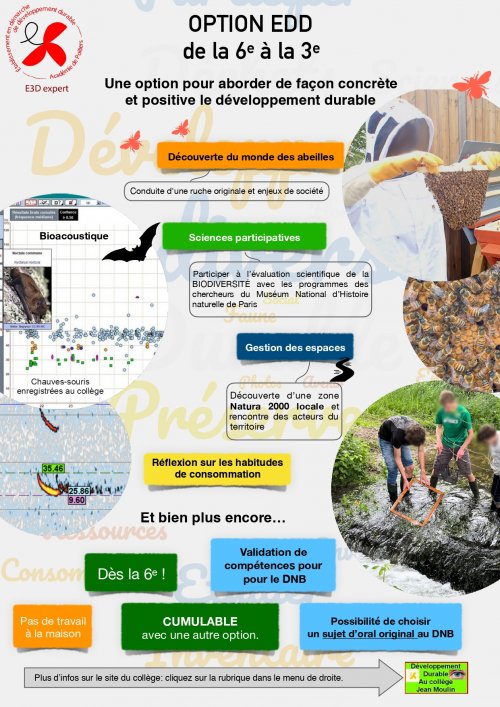 option_edd_flyer_v2024_page-0001