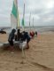 img-20240918-wa0030