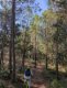 img-20250930-wa0059