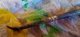 img-20241008-wa0022