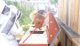 ruche_11