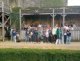 img-20241007-wa0007-2