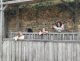 img_20241003_144758-2