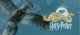 harry_potter_2025