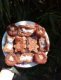 clarisse_seychelles-2