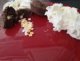 lou_bourienne-4