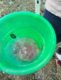 img-20250917-wa0036