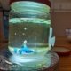 img-20241006-wa0000
