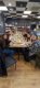 img_20250219_174040-2