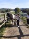 img-20251002-wa0003