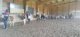 img-20250930-wa0011