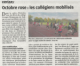 article_nr_du_23-10-2025_2_