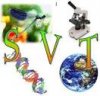 Logo de l'article